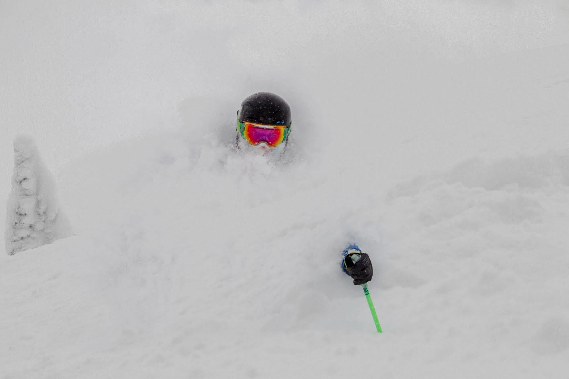 Teewinot Lodge By Grand Targhee Resort Alta Extérieur photo